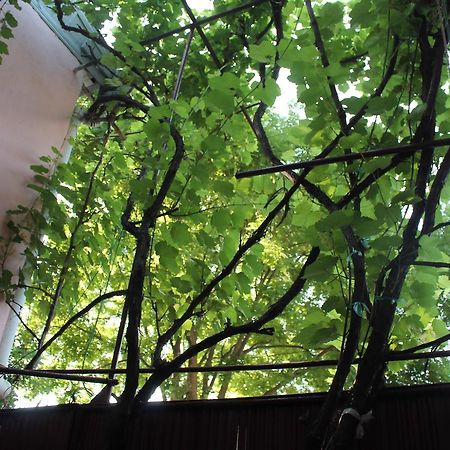 Hostel Old City Sololaki Tbilisi Exterior foto